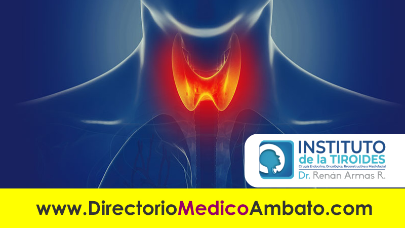 TIROIDES AMBATO 